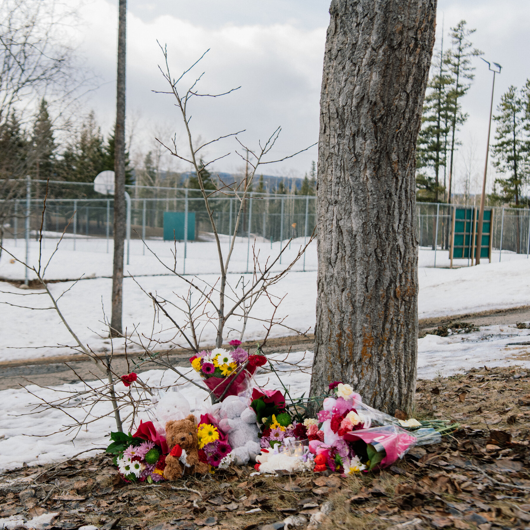 What We Know About the Victims of the Tumbler Ridge Mass Shooting in Canada