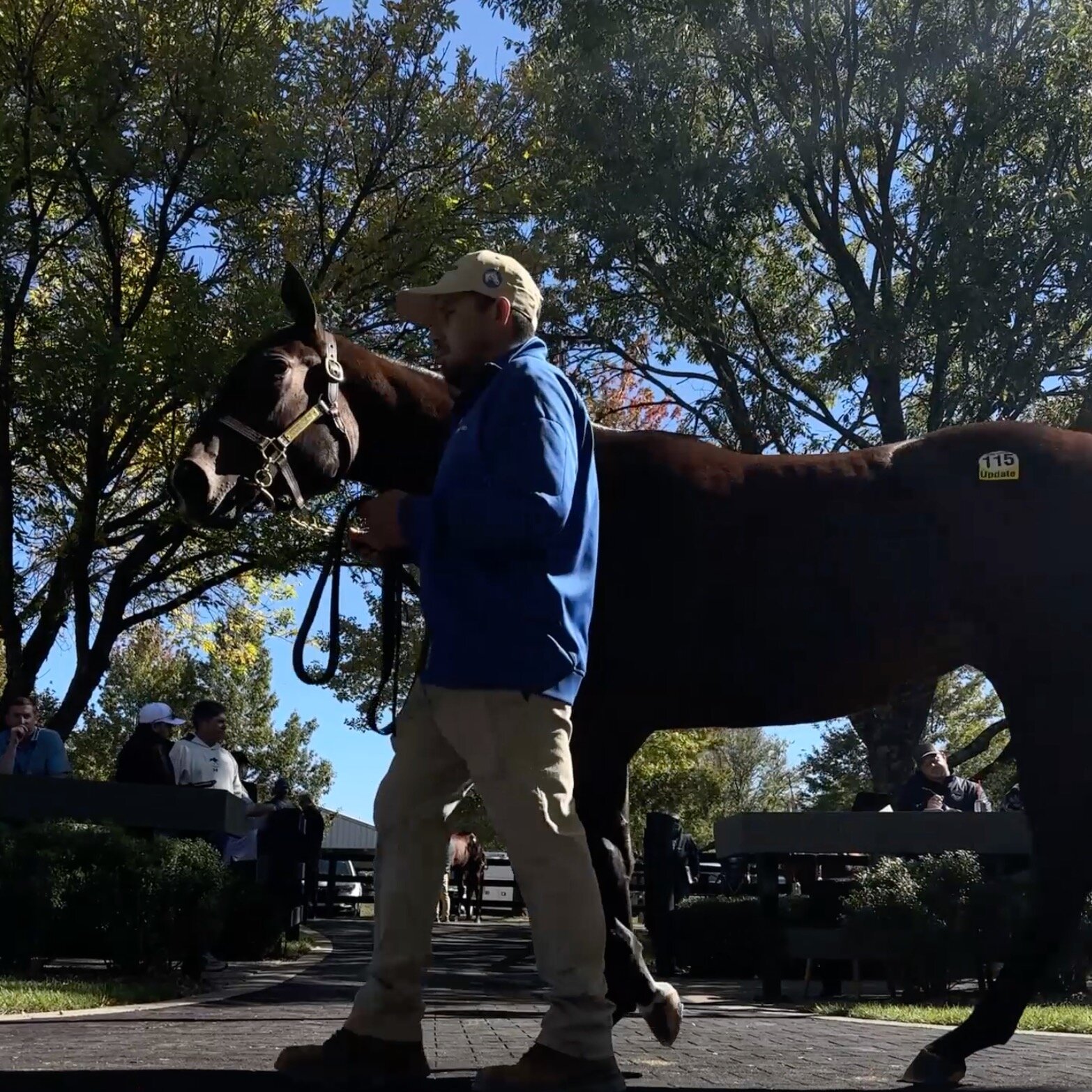 How a Trump Tax Break Rescued Horse Racing