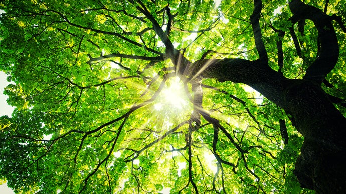 What we've been playing - 