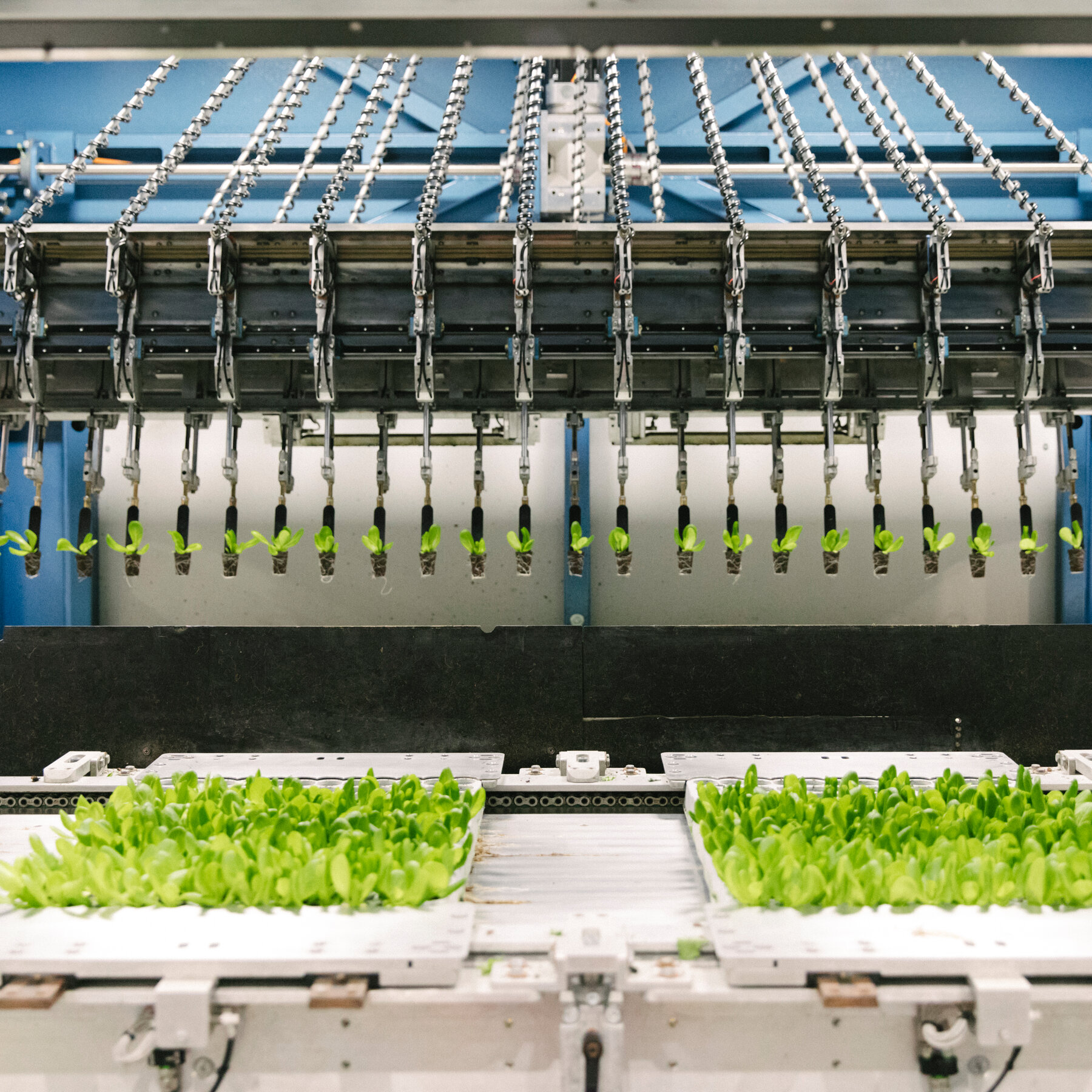Vertical Farms Tried to Compete With Open Field Farming. It Isn’t Going Well.