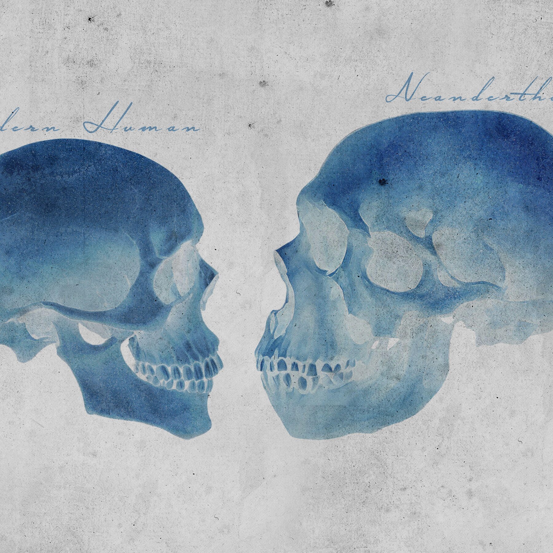 What Your DNA Reveals About the Sex Life of Neanderthals