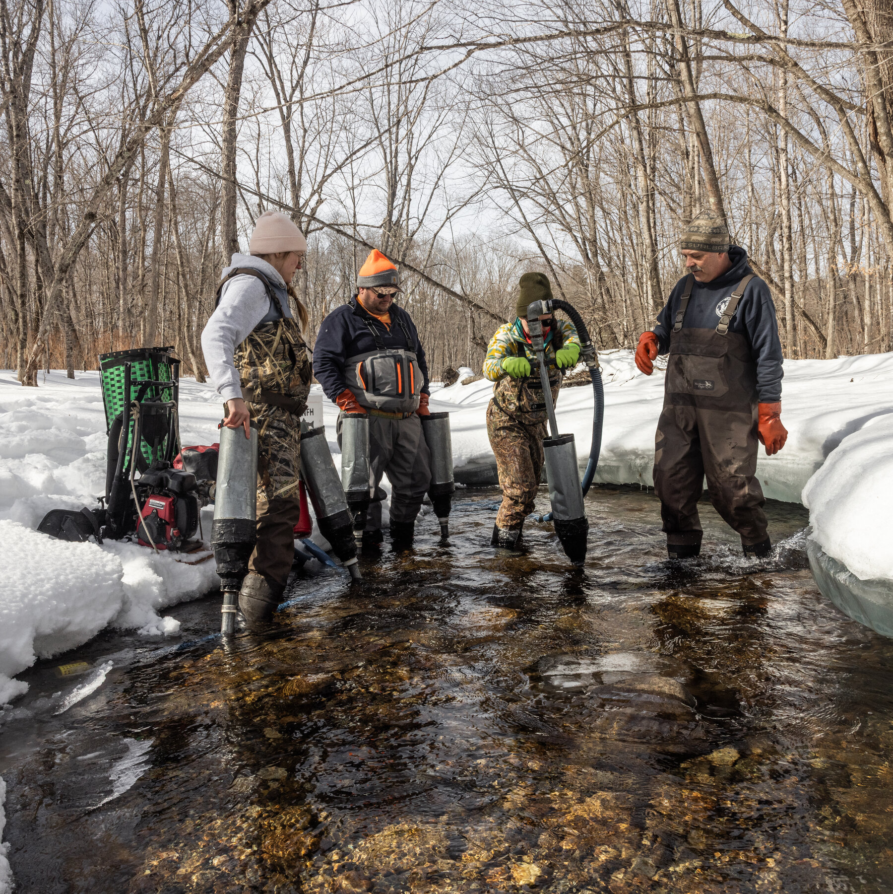 The Fragile Hope for Salmon Recovery in Maine